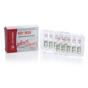 RED Deca 250 (νανδρολόνη Decanoate) – 10 αμπούλες x 250 mg. - Εικόνα 2