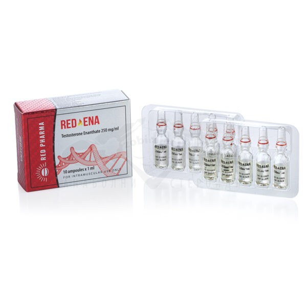 RED Ena 250 (Τεστοστερόνη Enanthate) – 10 αμπούλες x 250 mg.