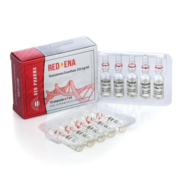 RED Ena 250 (Τεστοστερόνη Enanthate) – 10 αμπούλες x 250 mg.