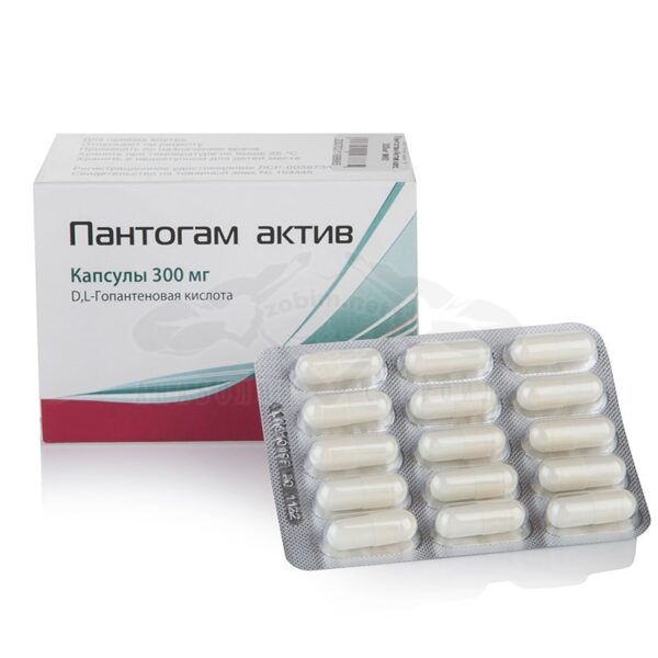 Περιουσιακό στοιχείο Pantogam - Pantogam Active