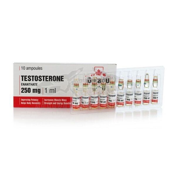 Τεστοστερόνη Enanthate - 10 ενισχυτή. x 250 mg.