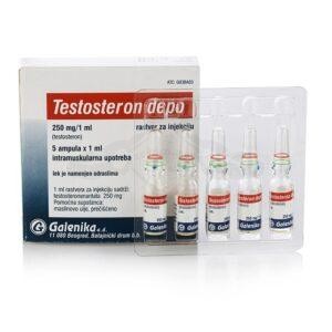 TESTOSTERONE DEPO (Enanthate τεστοστερόνη) - 5 αμπούλες x 250 mg. - Εικόνα 2