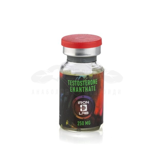 Testosterone Enanthate (Ενανθική τεστοστερόνη) – 10 ml. x 250 mg.